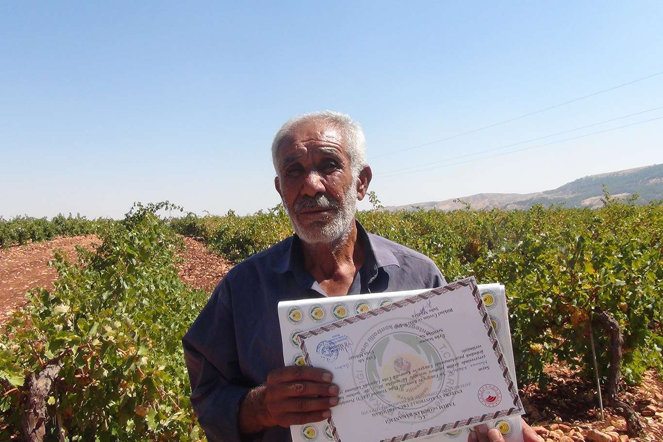 Üzümün pekmez ve pestil olma yolculuğu başladı